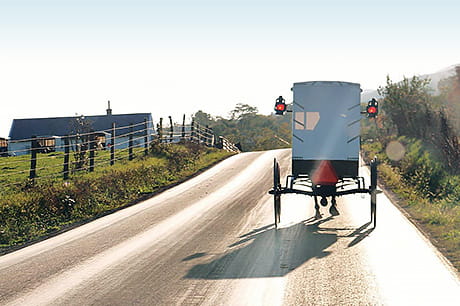 A solitary horse-drawn buggy travels down a rural road.