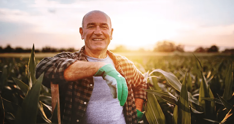 Un agricultor parado en un campo de maíz